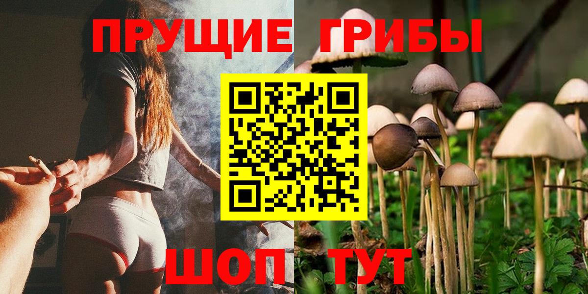 Псилоцибиновые грибы мицелий Соль-Илецк