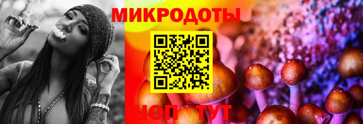 Соль-Илецк  Галлюциногенные грибы GOLDEN TEACHER  Вход с VPN 